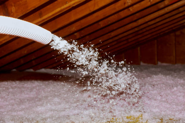 Best Energy Efficiency Insulation in Ewa Beach, HI